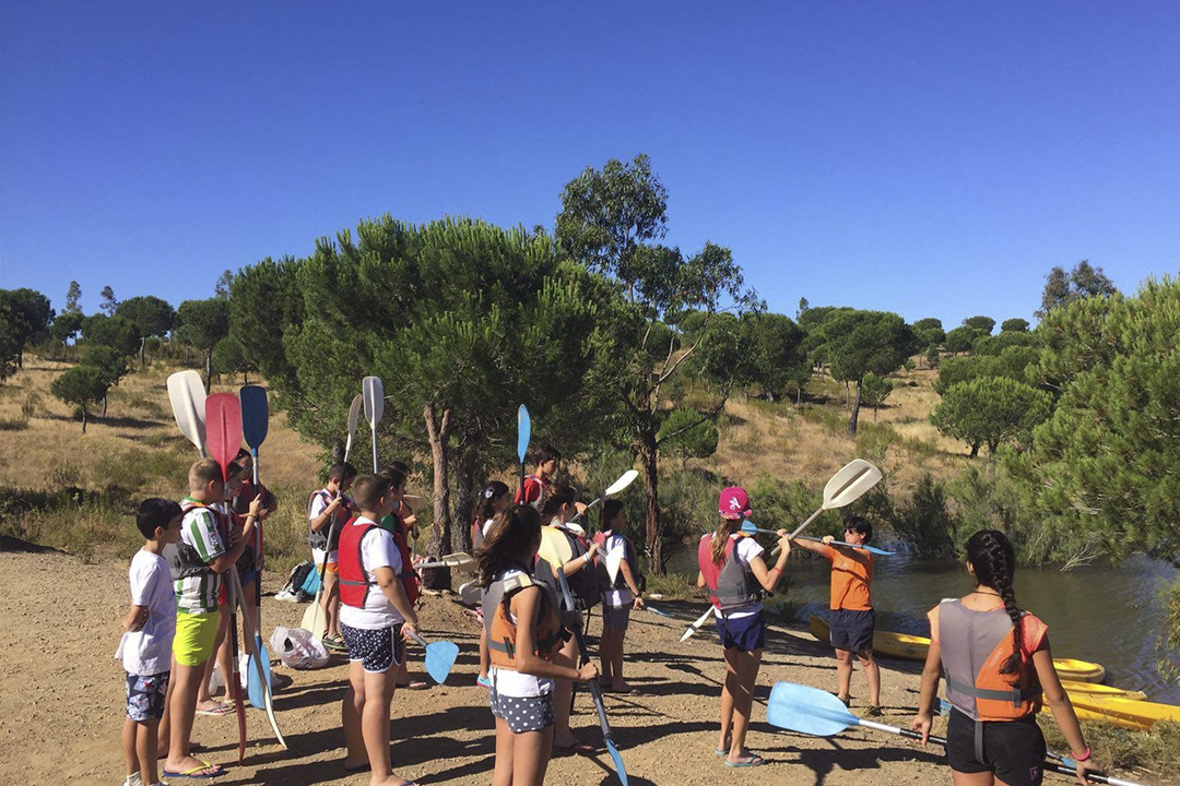 Campamentos actividades