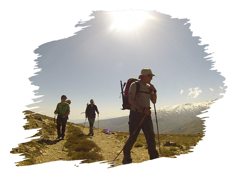 Nordic walking
