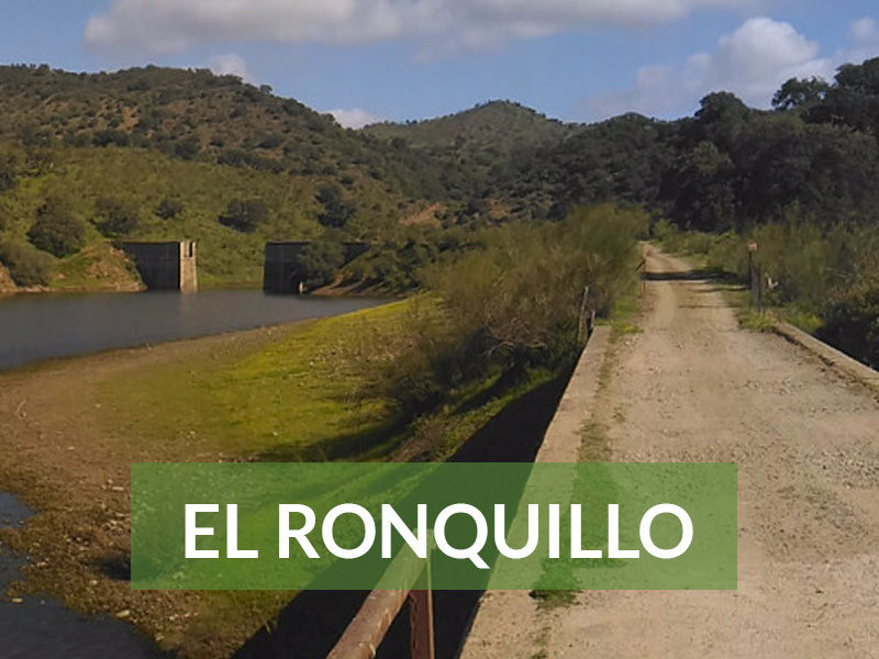 El Ronquillo